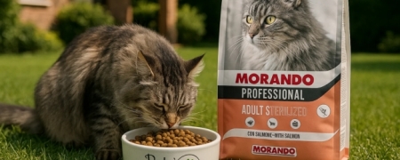 Croccantini Morando Professional da 7kg per Gatti Sterilizzati